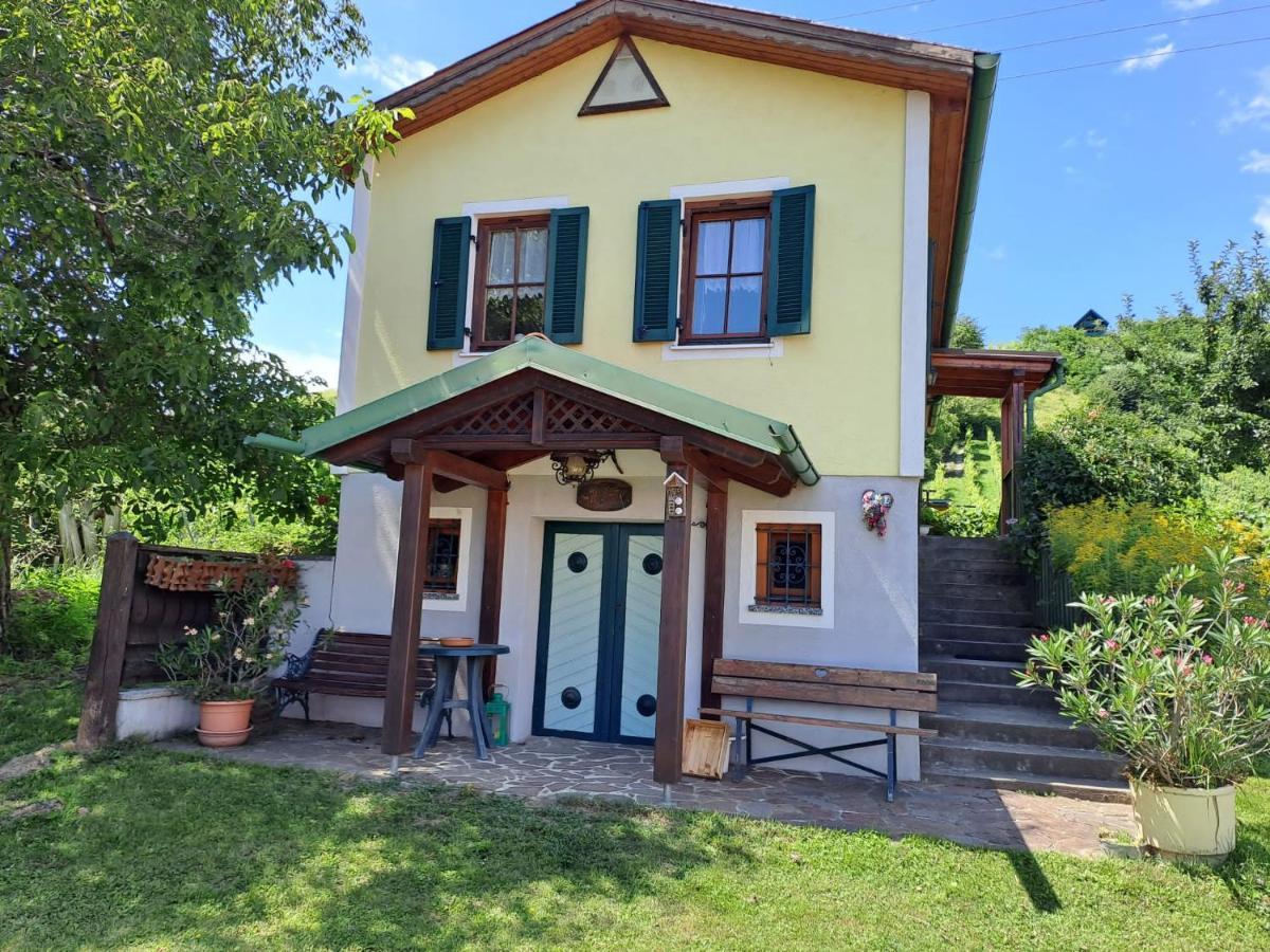 Villa Kellerstoeckl Berta Eisenberg an der Pinka Exterior foto